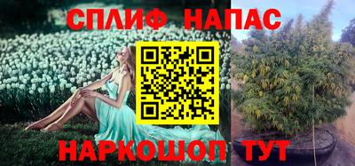 стаф Донской