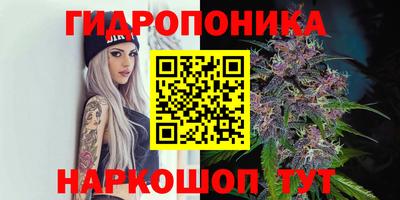мяу мяу мука Дубна