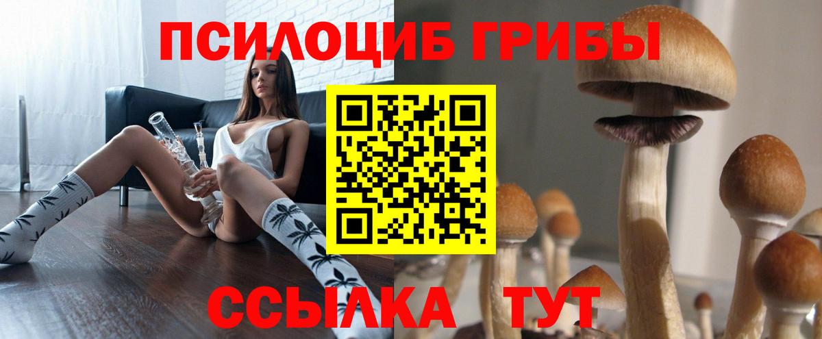 Дивногорск  Галлюциногенные грибы MAGIC MUSHROOMS  Вход с VPN 